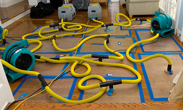 Professional Basement Flood Cleanup technician working in South Bethlehem, NY